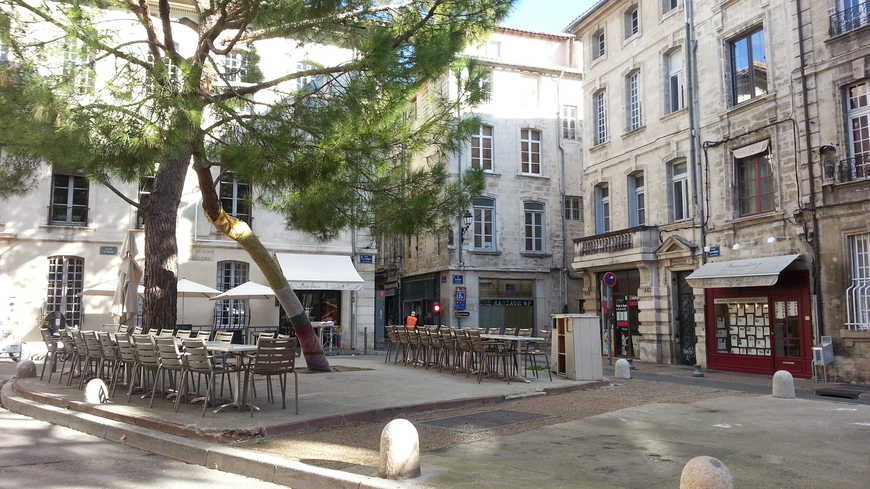 avignon intra muros