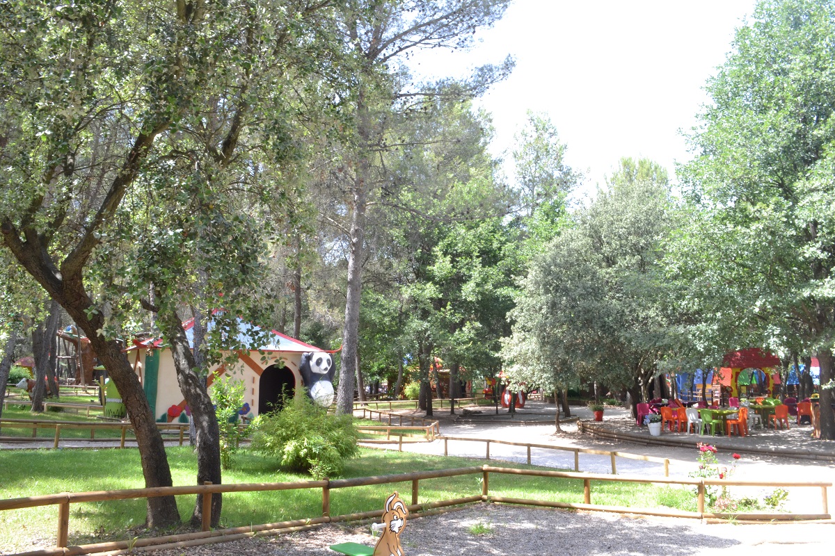 avignon jeux