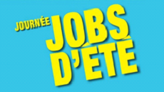 avignon job d'ete