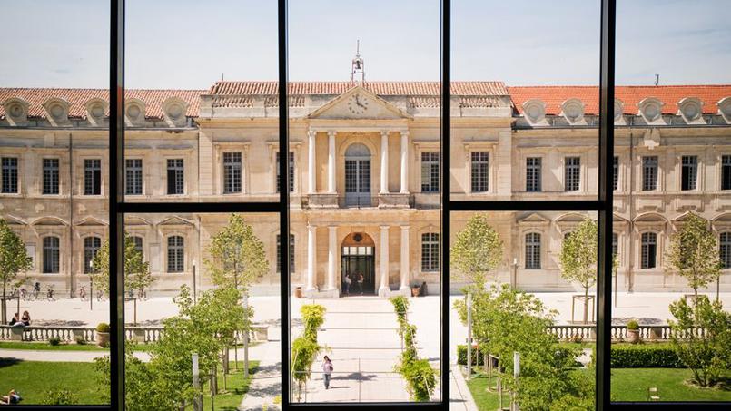 avignon job etudiant