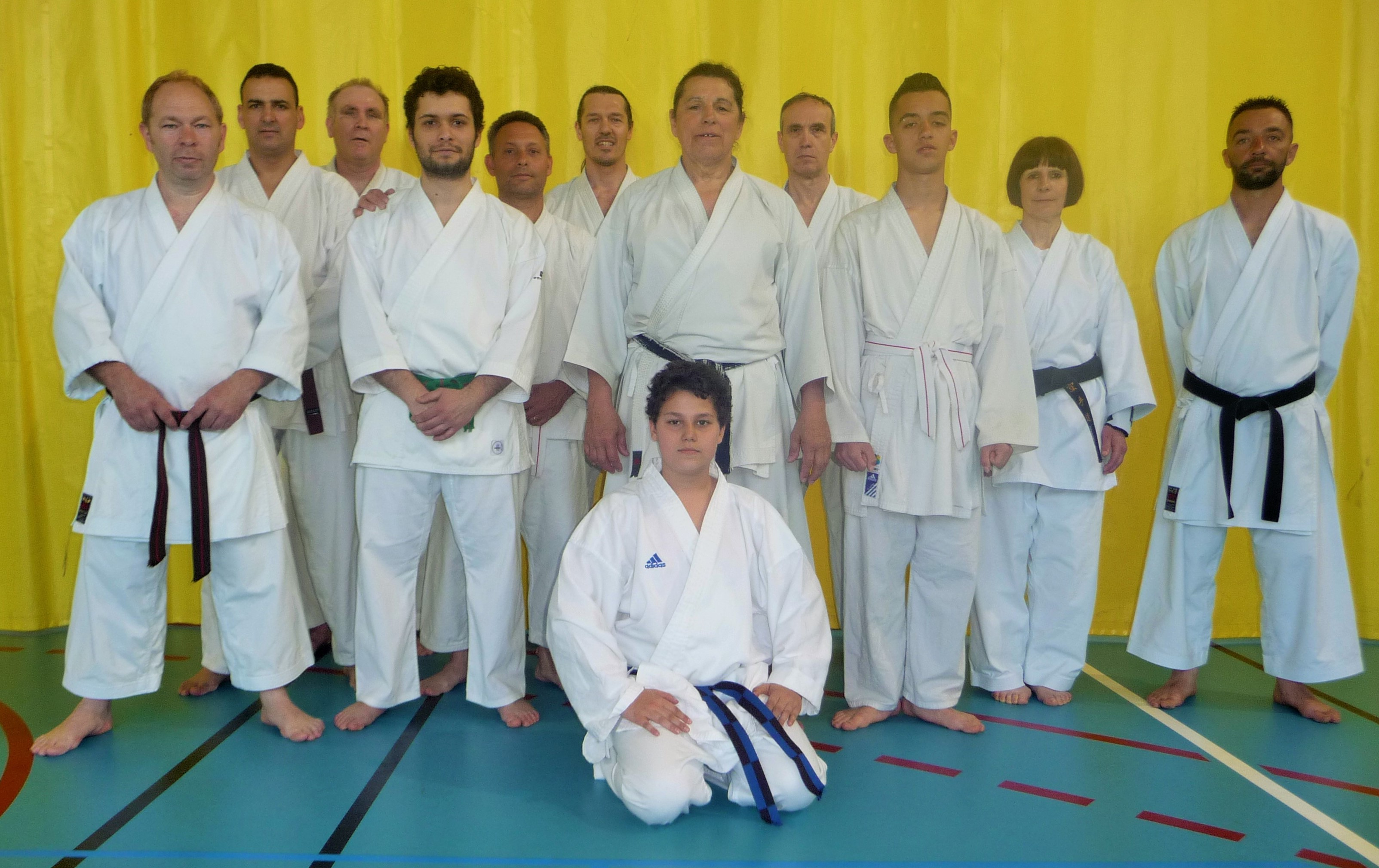 avignon karate club