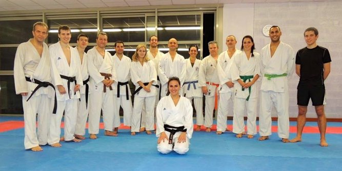 avignon karate club