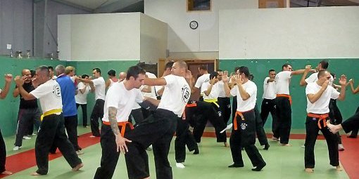 avignon krav maga