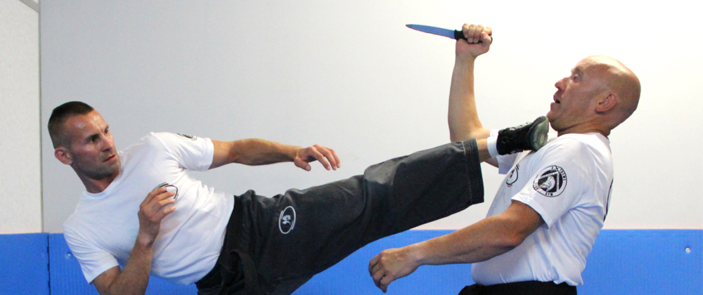 avignon krav maga
