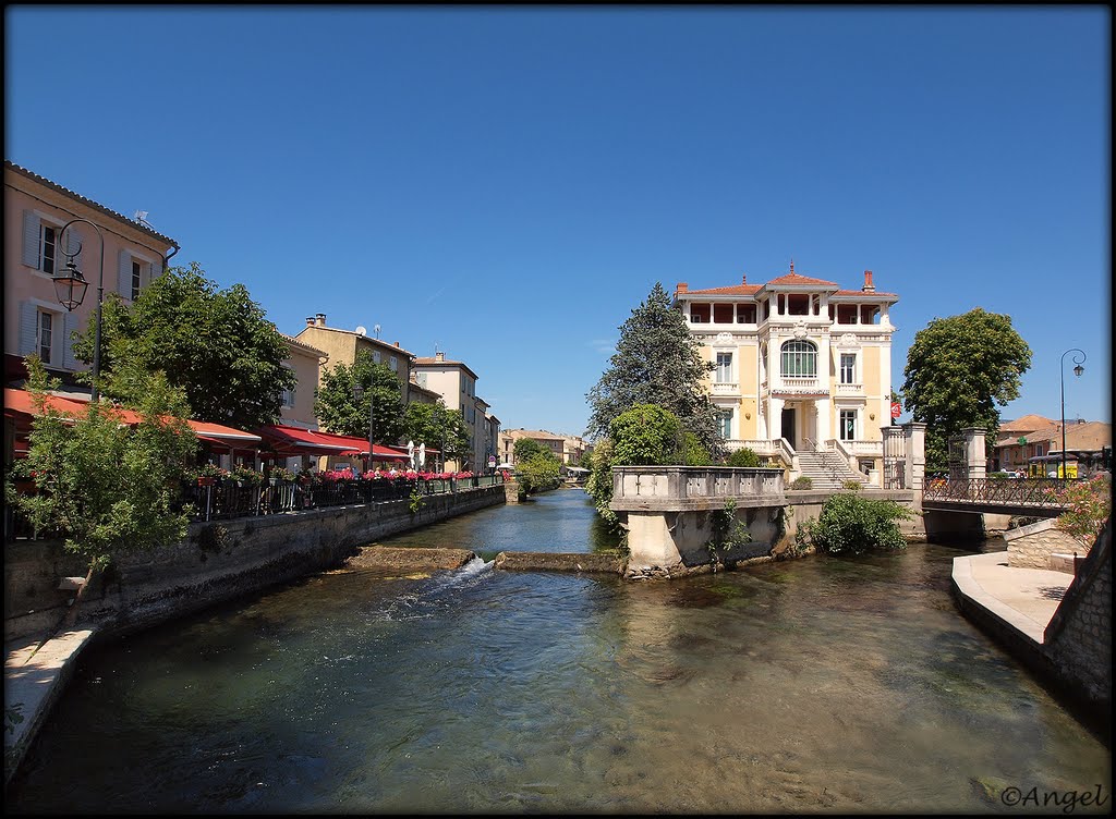 avignon l'isle sur la sorgue bus