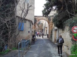 avignon les angles