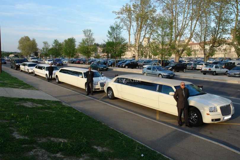 avignon limousine