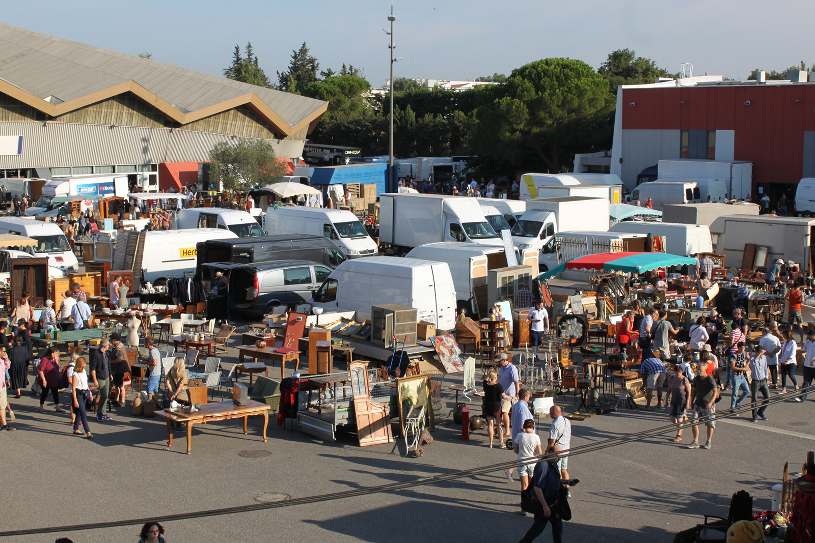 avignon marche