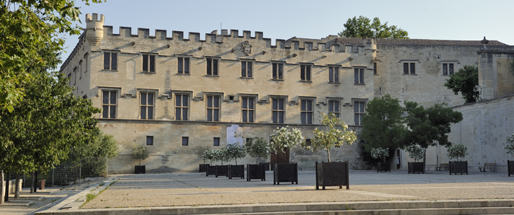 avignon musee