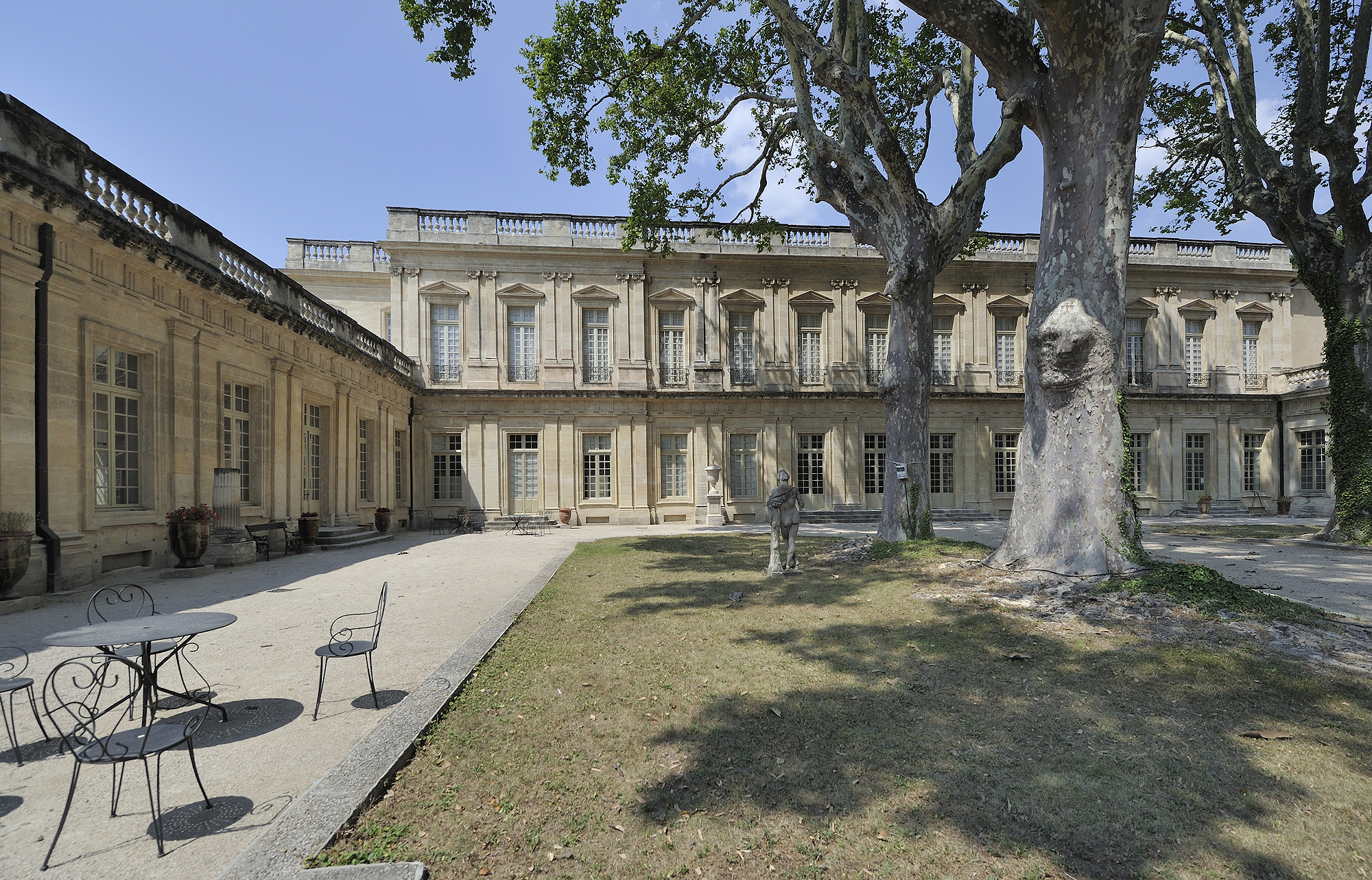 avignon musee