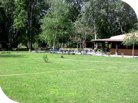 avignon parc