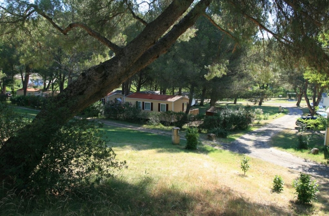 avignon parc