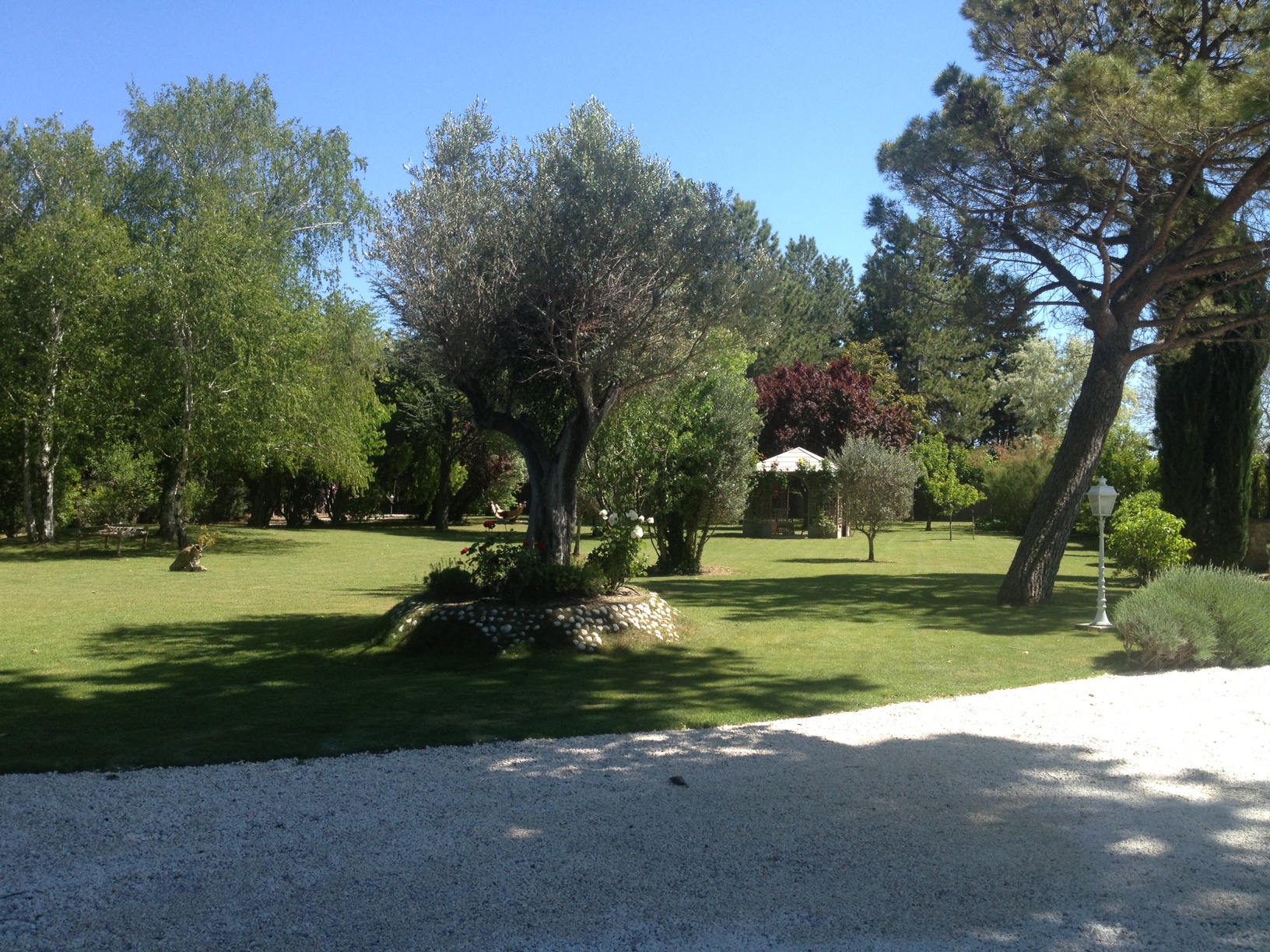 avignon parc