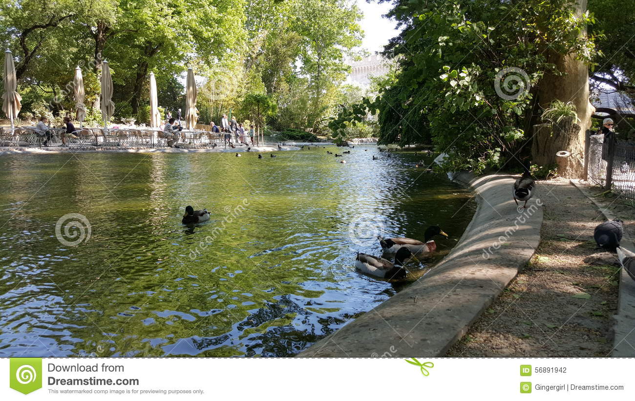 avignon parc
