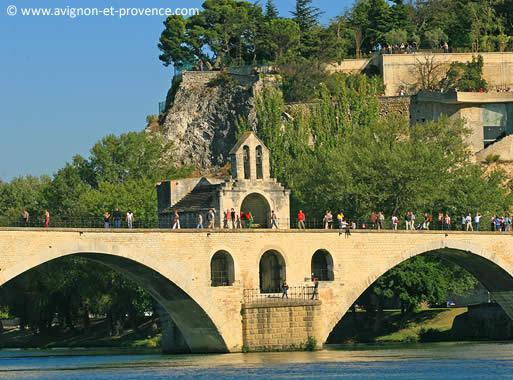 avignon pont