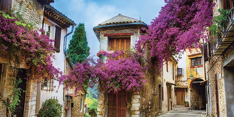 avignon provence