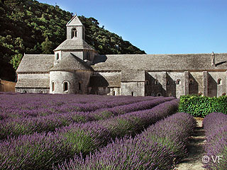 avignon provence