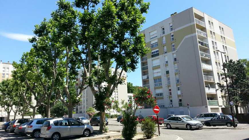 avignon quartiers a eviter