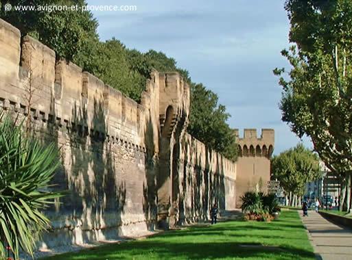 avignon remparts