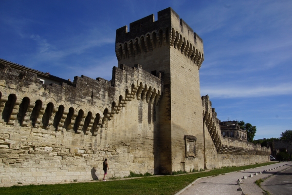 avignon remparts