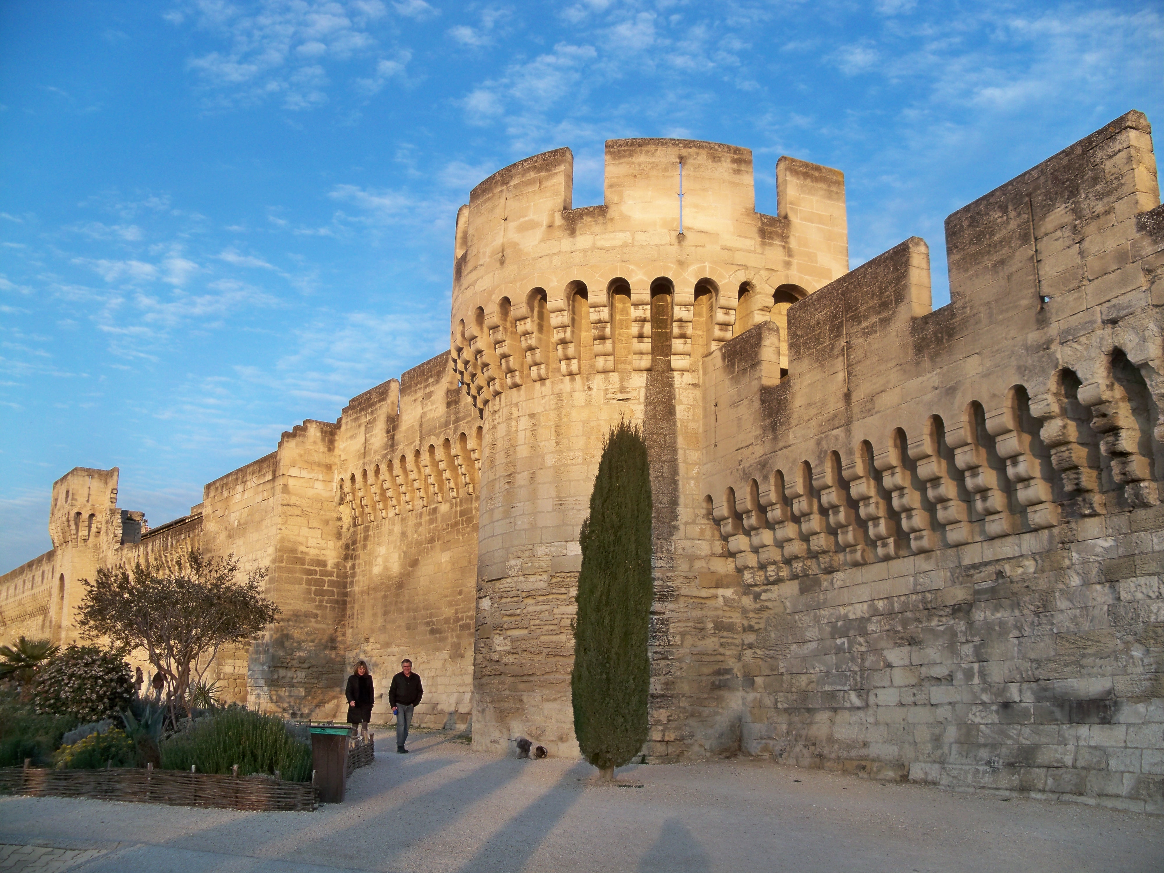 avignon remparts