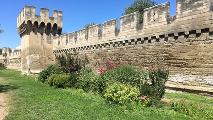 avignon remparts