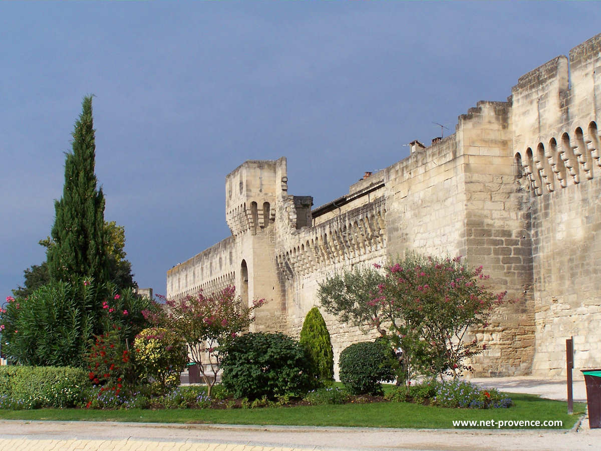 avignon remparts