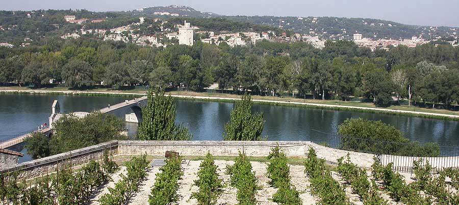 avignon rocher des doms