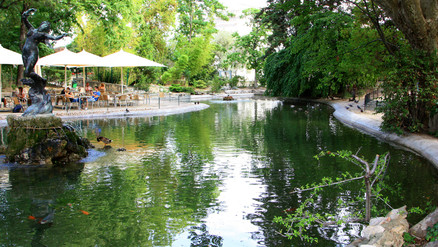 avignon rocher des doms