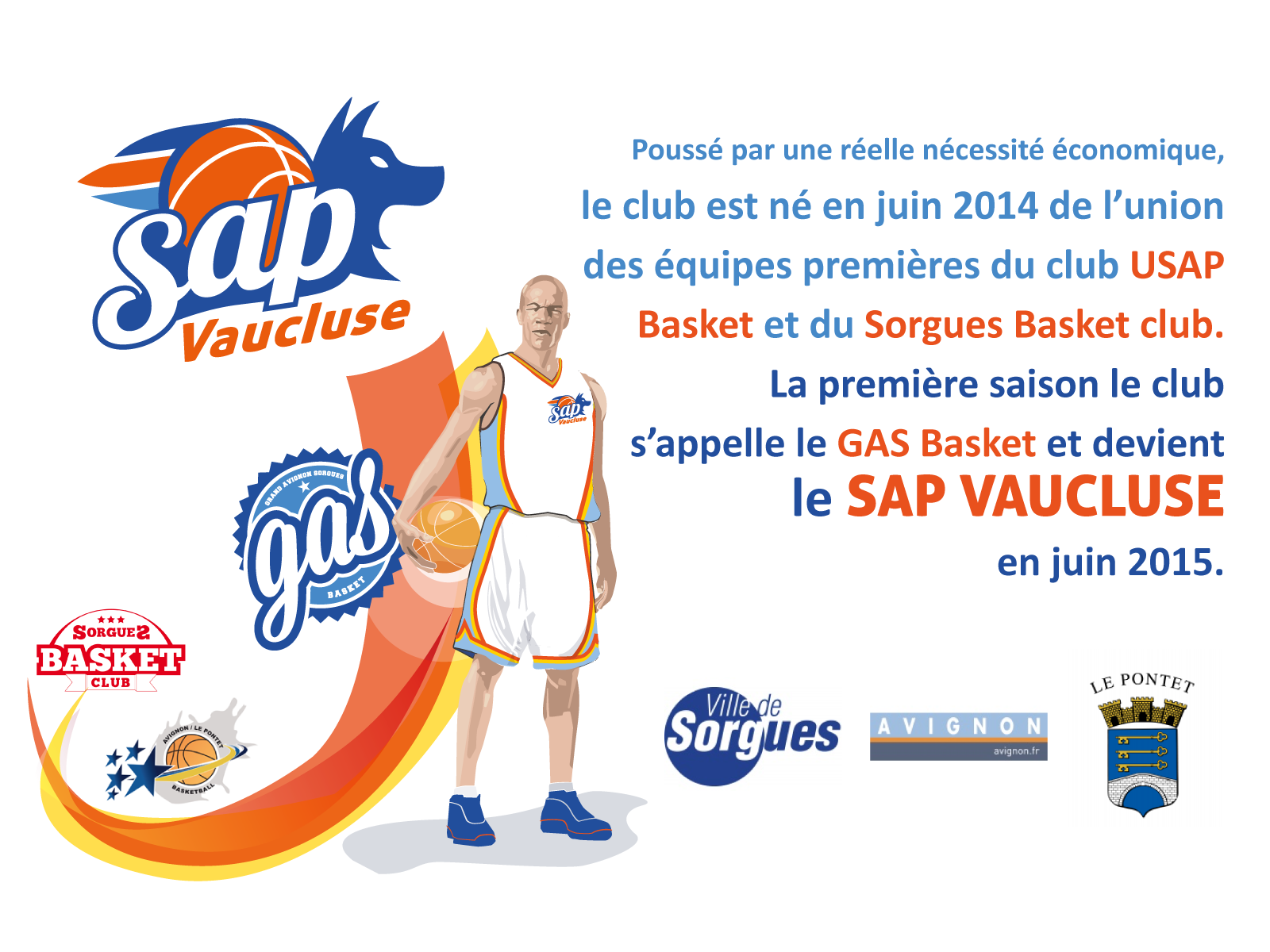 avignon sap