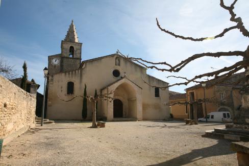 avignon superficie
