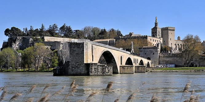 avignon tourisme