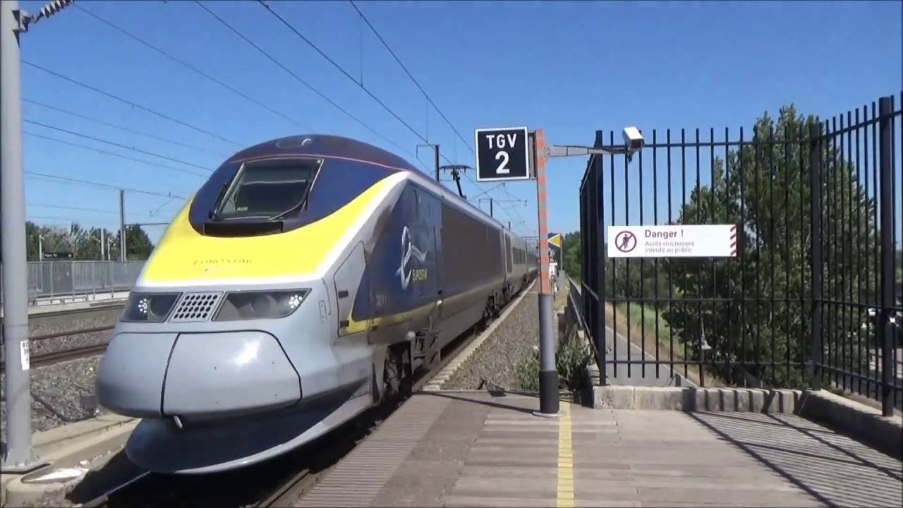 avignon train
