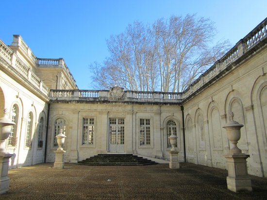 avignon tripadvisor
