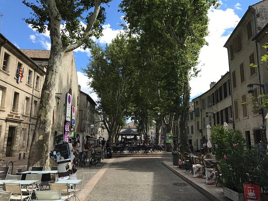 avignon tripadvisor