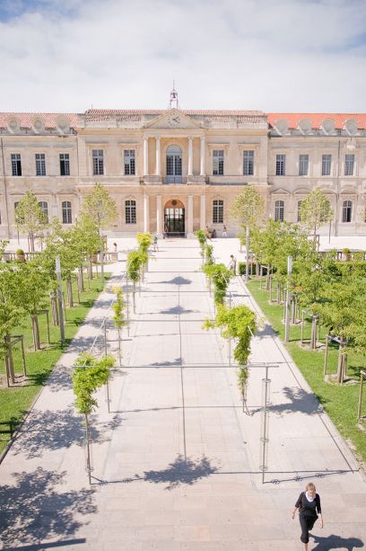 avignon universite