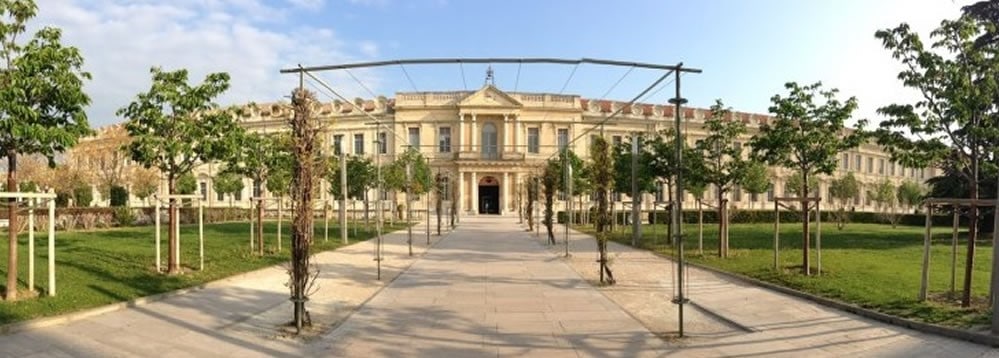 avignon universite