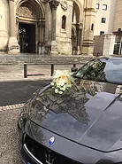 avignon uzes voiture