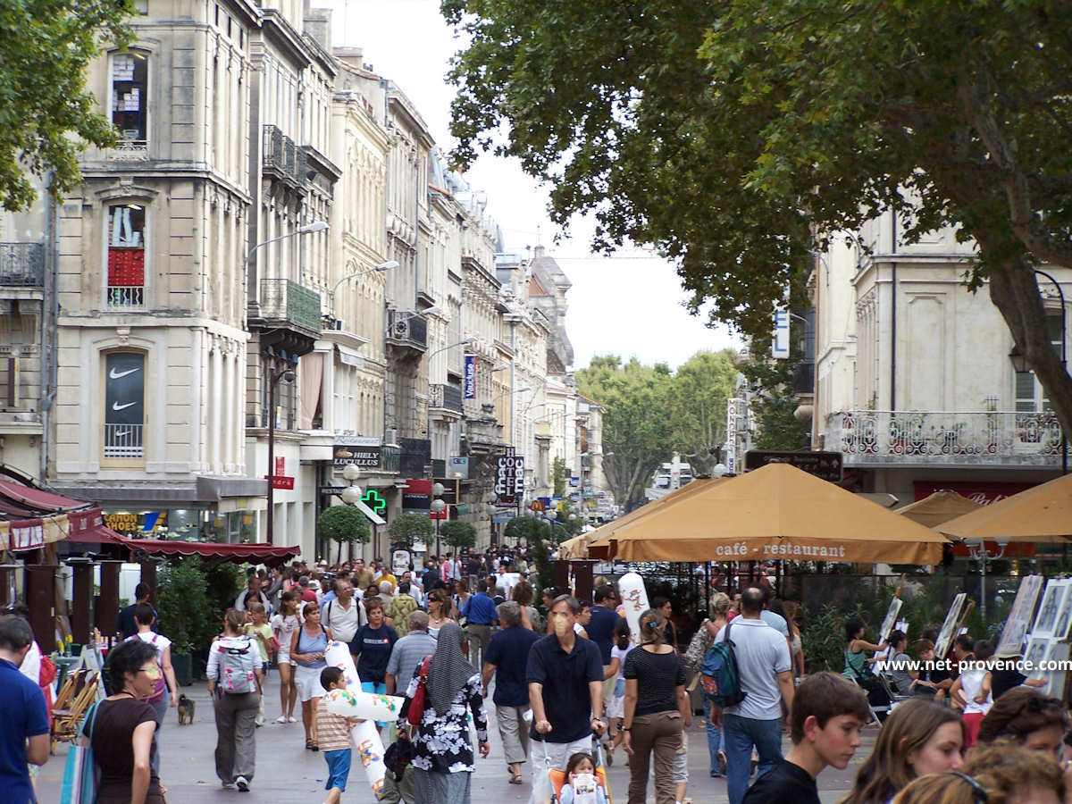 avignon ville