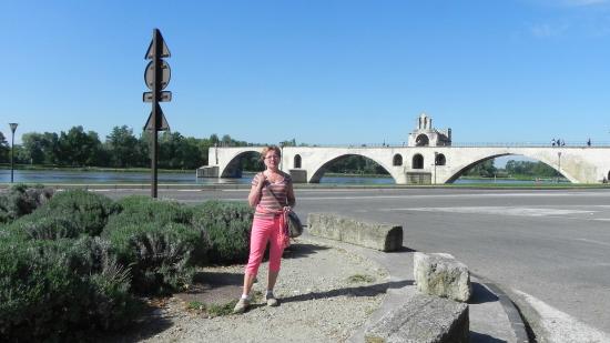 avignon w