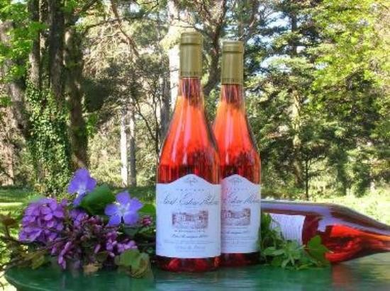 avignon wine tour