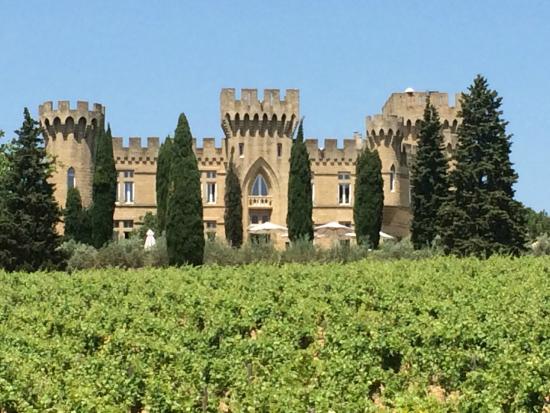 avignon wine tour