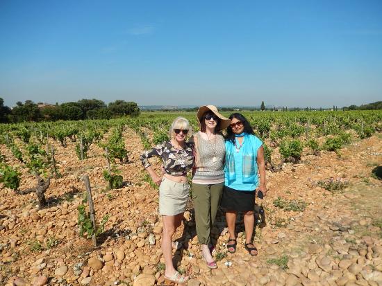 avignon wine tour