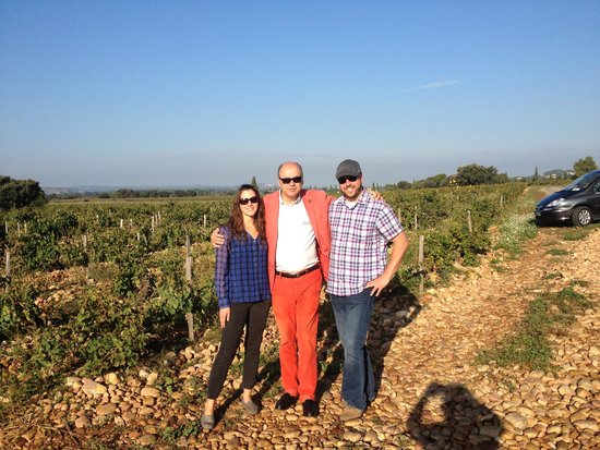 avignon wine tour