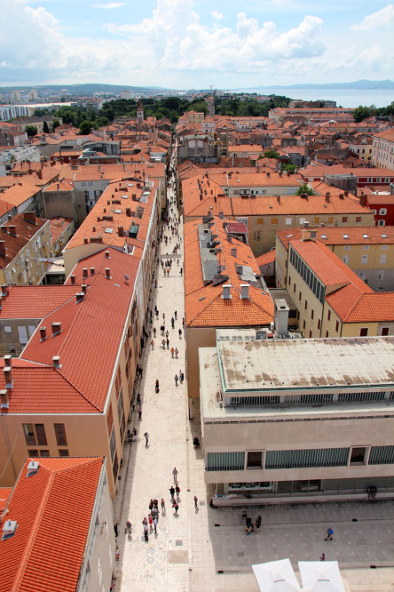 avignon zadar