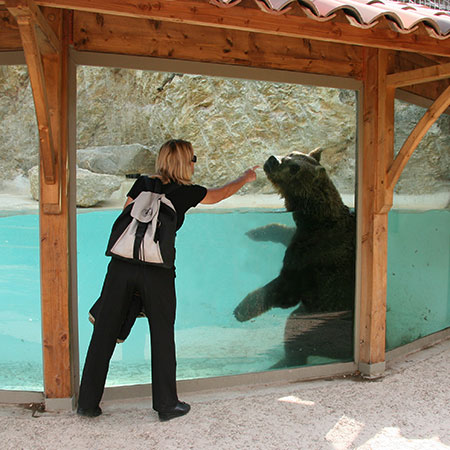 avignon zoo de la barben