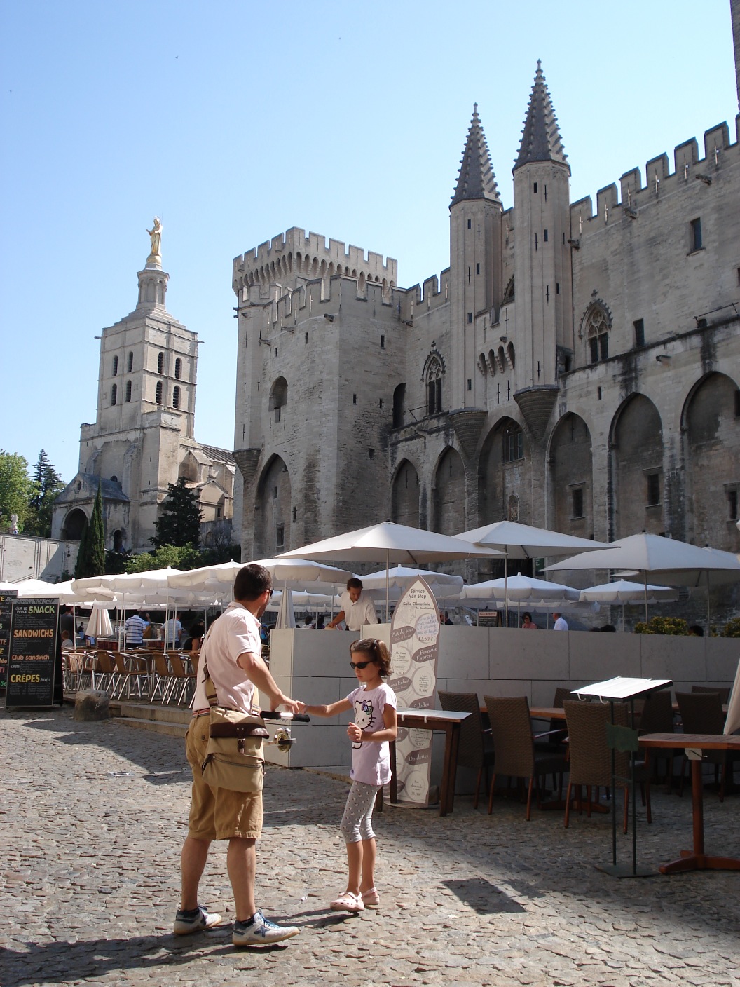 avignone e in provenza