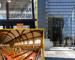 b.u avignon