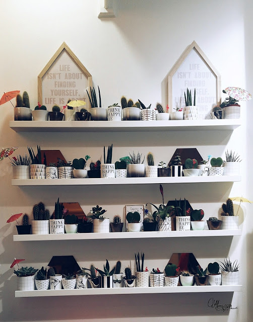 boutique v avignon