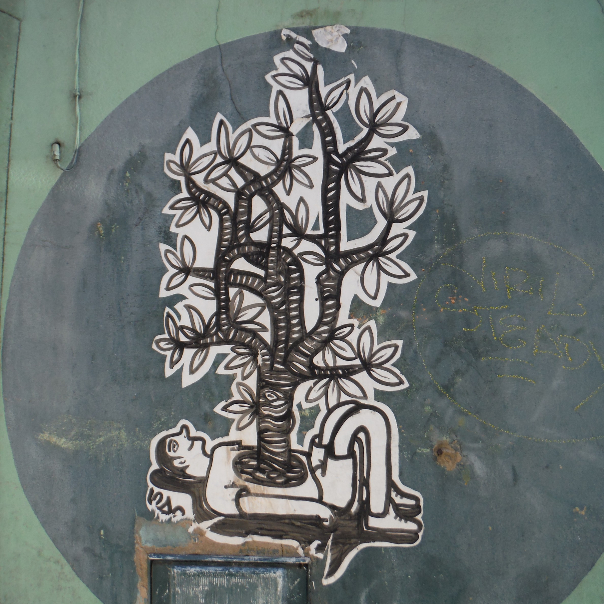 cogito'z avignon